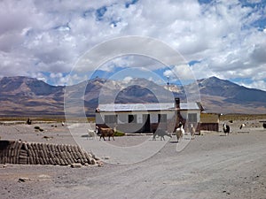 House in colchane at chilean border at altiplano photo