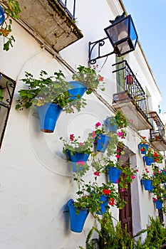 House in Cordoba with flowerpots