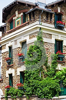 House covered by ivy with geraniums fill boxes, Montmartre, Paris