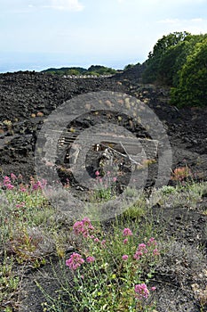 House covered with lava at the foot of Mount Etna volcano, surrounding vegetation, Sicily, Italy, Europe