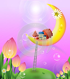 House on Crescent Moon