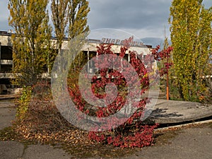 House of culture Energetic in abandoned ghost town Pripyat, post apocalyptic city