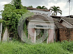 The house is damaged without the occupants of many wild plants that grow