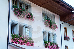 The house, decorated with boxes with a geranium, Gruyeres, Switz