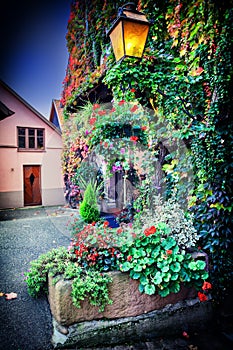 House decorated with colorful flowers