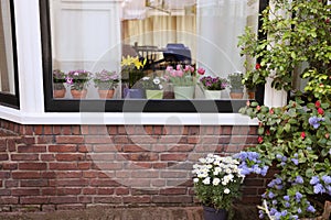 House decorated with many beautiful potted flowers, view from outside