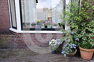 House decorated with many beautiful potted flowers, view from outside