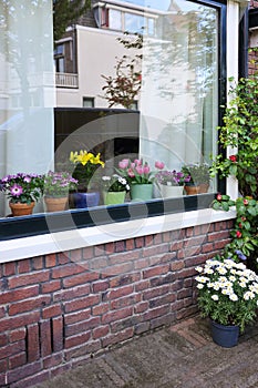 House decorated with many beautiful potted flowers, view from outside