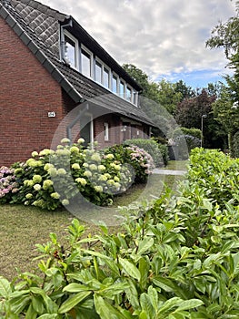 House is decorated with various plants and flowers.