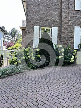 House is decorated with various plants and flowers.