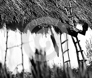 House detail with traditional reed roof in Danube delta