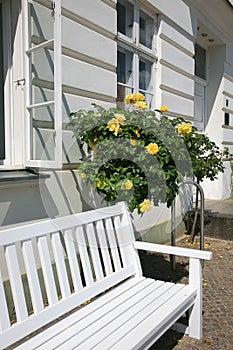 House detail with white bench and rose bush