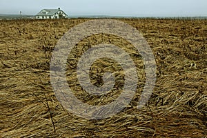 House in the Distance