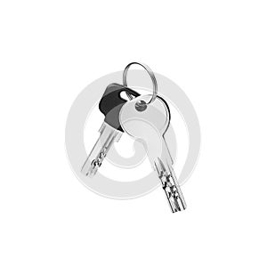 House door lock keys bunch on ring on white background isolated close up, two silver metal keys on keyring, pair of steel keys