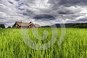 House on Dramatic Field