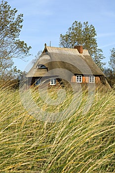 House in the dunes