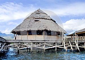 The house established on piles. Lake Sentani