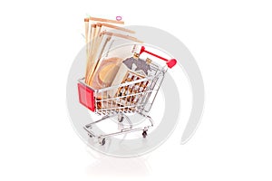 House and euro bank notes in a shopping cart to buy a home