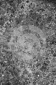 House exterior wall texture with mold in black and white