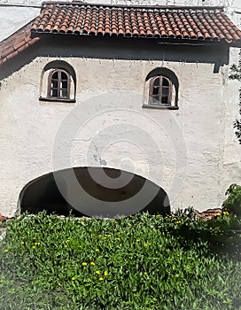 House, eyes, grass, green, white, beige, tile roof,  dandelion, yellow