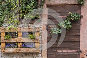 House facade decorated with flowers with wooden door