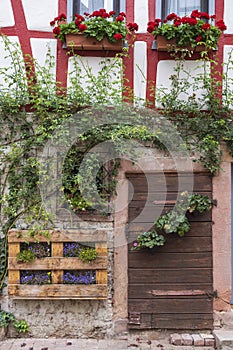 House facade decorated with flowers with wooden door