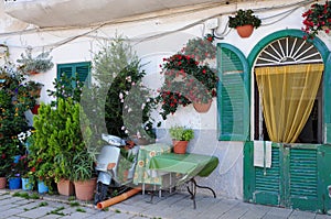 House facade decorated with many flowerpots