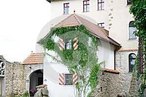 House facade overgrown with wild plants as an architectural design for old buildings