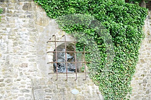 House facade overgrown with wild plants as an architectural design for old buildings