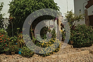 House facade with white walls, stairs, flower pots and plants at Caceres