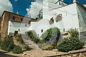 House facade with white walls, stairs, flower pots and plants at Caceres