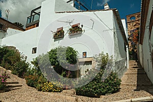 House facade with white walls, stairs, flower pots and plants at Caceres