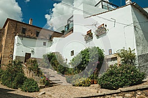 House facade with white walls, stairs, flower pots and plants at Caceres photo