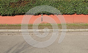 House fence consisting of red painted concrete wall and a hedge above. Porphyry sidewalk and street in front