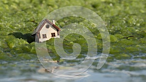 House floating and sinking in sea water, algae. Real estate business crisis. Family home drowned, damage flood, tsunami