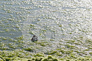 House floating sinking underwater in sea, simbol family home sunk, damage. Natural disasters, incidents, tsunami, flood