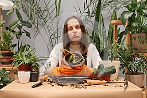 House florist with gloves. Botanist with houseplants. Female demonstrating flower care. Unhappy sad woman florist wearing apron