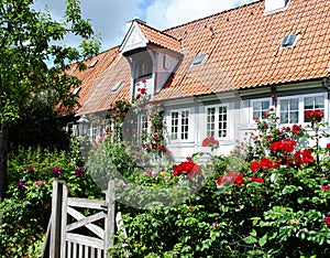 House with flower landscaping