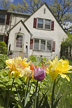 House with flowers in front garden