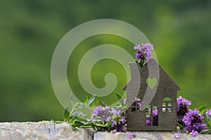 House and flowers of herb thyme on background of green nature. Eco-friendly home, gardening, ecologically clean area