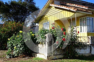 House with flowers photo