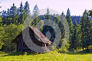 The house in the forest