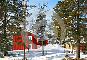 House in forest