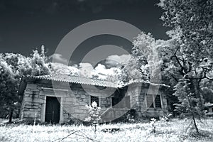 A house in a forest fog