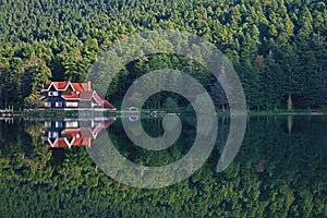 House at the forest lake reflection Golcuk, Turkey
