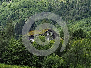 House in the forest, in the mountains with plants on the roof. Traditional Norwegian wooden house in the forest