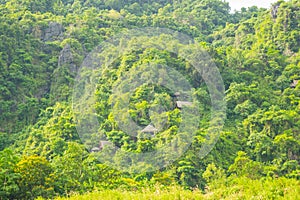 House on forest for transporting tourists to Phong Nha cave, Phong Nha - Ke Bang national park, Viet Nam.