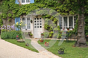 A house front covered with vegetation