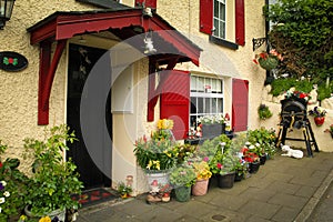 House with front garden. Inistioge. Ireland