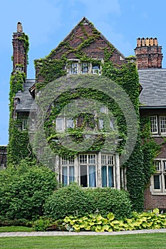 house with gable covered in ivy photo